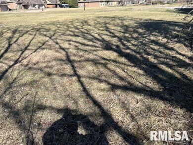 230 12th Ave, Moline, IL 61265 - photo 5