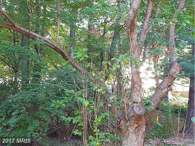 10221 Quiet Pond Terrace, Burke, VA 22015 - photo 6