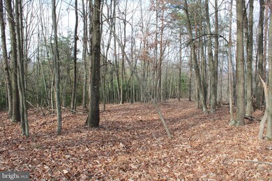21.16 AC Ridge View Rd, Moorefield, WV 26836 - photo 5