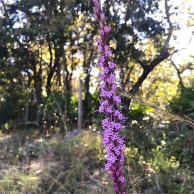 2259 Red Oak Rd, Perry, FL 32348 - photo 7