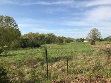 0 W Lot 3 Itaska unit 60088103, Nixa, MO 65714 - photo 5