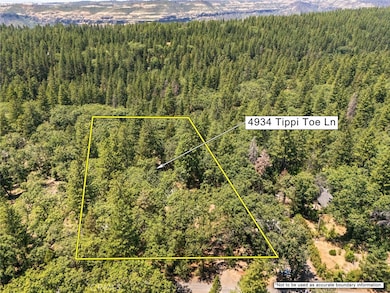 4934 Tippytoe Ln, Forest Ranch, CA 95942 - photo 7