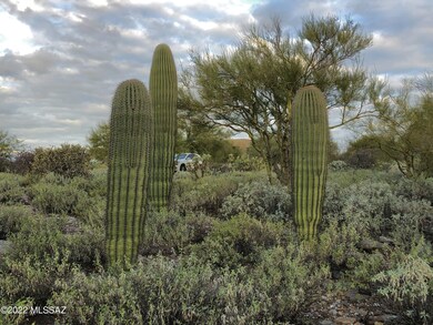 4290 N Círculo Manzanillo unit 39, Catalina Foothills, AZ 85750 - photo 6