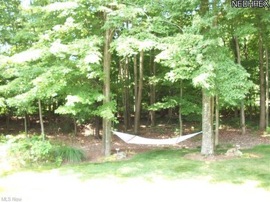About 18 acres conservation perpetual (eternal;per