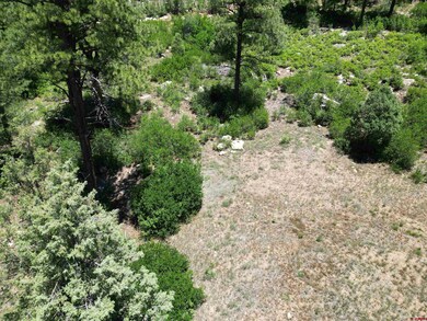 1156 Twin Buttes Ave, Durango, CO 81301 - photo 7