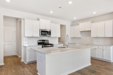 269 Tuscan Sun St, Ridgeville, SC 29472 - photo 5