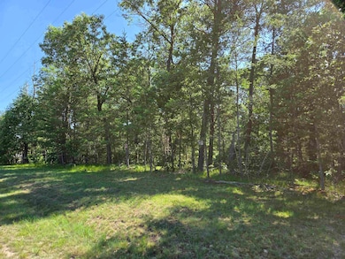 0 13th Dr unit 2003391, Adams, WI 53934 - photo 6