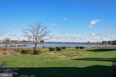 9792 Martingham Cir unit B3, Saint Michaels, MD 21663 - photo 3