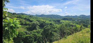 Carr. 412, Km. 4.8 Calle Pascual Nieves Bo Calvache, Rincon, PR 00677 - photo 3