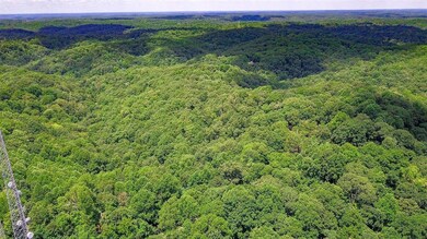 1337 Highway 64 W, Shelbyville, TN 37160 - photo 4