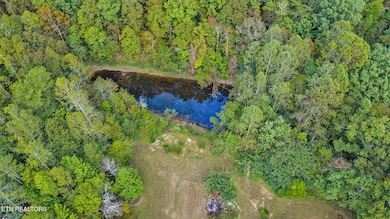 1063 Westel Loop, Rockwood, TN 37854 - photo 5