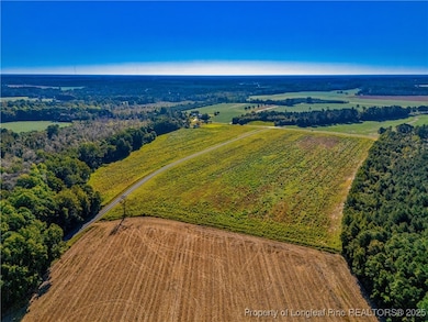 Lot 18 Daniel McLeod Rd, Red Springs, NC 28377 - photo 4