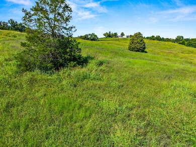 Tract 2 Shinbone Rd, Russellville, TN 37860 - photo 5