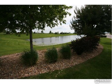 222 Beldock Ct, Brighton, CO 80601 - photo 4