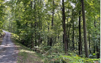 LOT 30 High Meadows, Hayesville, NC 28904 - photo 7