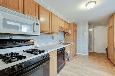 207 Granada Rd, Carpentersville, IL 60110 - photo 2