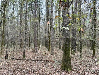 10 Acres Reed Rd, Starkville, MS 39759 - photo 4