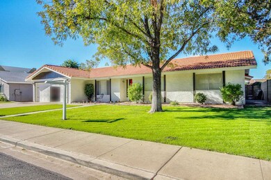 Huge Grass Front Yard