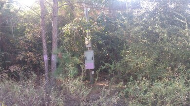 8414 Mayhaw Ln, Plantersville, TX 77363 - photo 4