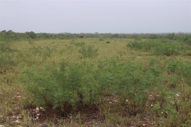 8993 County Road 101, San Diego, TX 78384 - photo 7