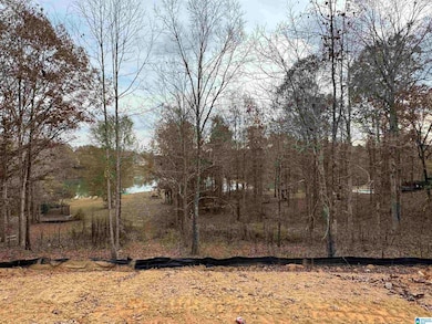 320 Emerald Ln, Chelsea, AL 35043 - photo 2