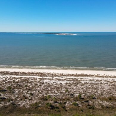 169 Sea Glass Dr, Port St. Joe, FL 32456 - photo 5