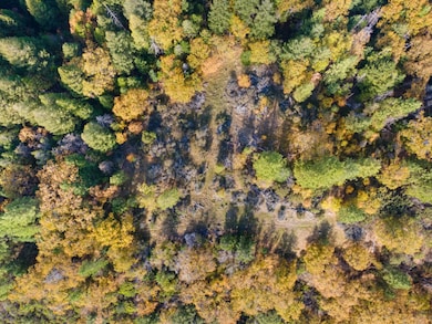 1 Starkes Grade Rd, Pollock Pines, CA 95726 - photo 3