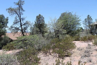 Lot For Sale (1)