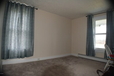 746 Mincemoyer Ln, Watsontown, PA 17777 - photo 6