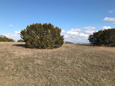 1733 W Horseshoe Dr, Whitney, TX 76692 - photo 2