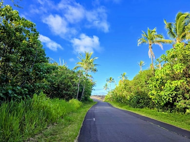 0 Pohoiki Kalapana Rd unit 722457, Pahoa, HI 96778 - photo 2