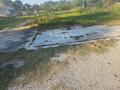 695 W Carroll St, Kissimmee, FL 34741 - photo 3