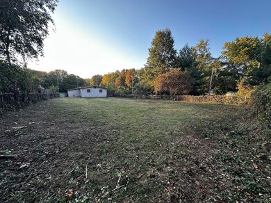 back yard 528 S Burton Ave Springfield,