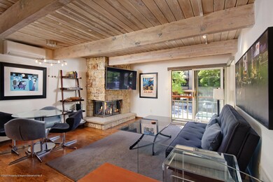 630 E Cooper Ave unit 13, Aspen, CO 81611 - photo 2