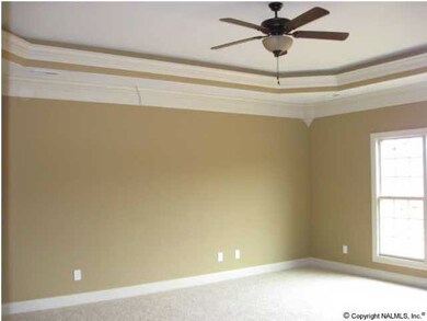 Master bedroom with crown moulding, trey ceiling and rope lighting.