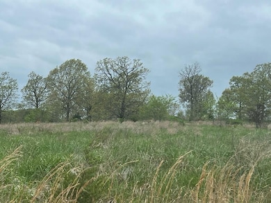 0 State Highway D, Thornfield Township, MO 65762 - photo 2