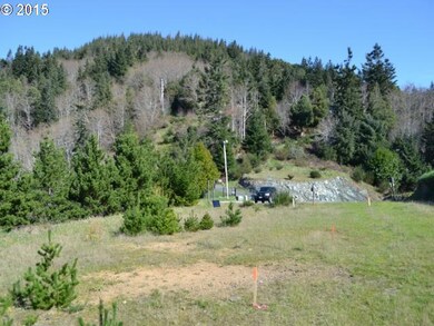 0 Bear Mountain Rd, Gold Beach, OR 97444 - photo 6