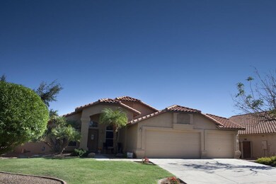 Grass and rock front