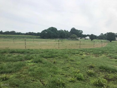 Horse training fence