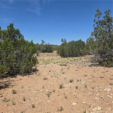 32220 W Conejo Rd, Seligman, AZ 86337 - photo 5