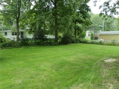 Yard View
