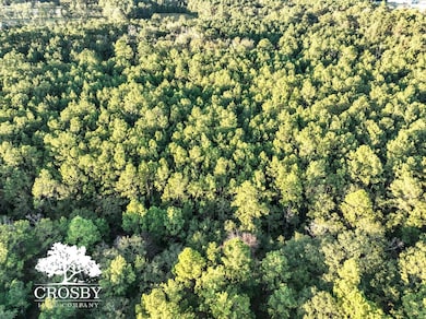 Tbd Lemon Rd, Walterboro, SC 29488 - photo 7