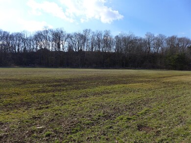 2 S Scruggs, Frankfort, KY 40601 - photo 6