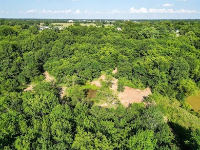 Drone / aerial view of a forest