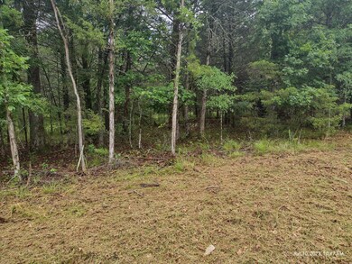 IMG_20230610_104727294_HDR