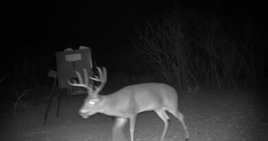 1134 Sd 45400, Rocksprings, TX 78880 - photo 3