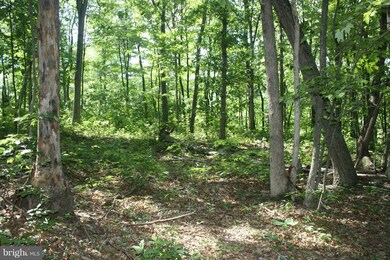 0 Hampshire Grade Rd unit 1002439090, Hedgesville, WV 25427 - photo 6