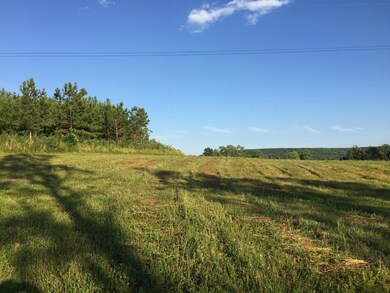 0 Thomas Springs Rd unit RTC2954745, Crossville, TN 38572 - photo 3