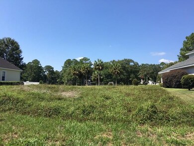 1175 Sea Palms West Dr, St. Simons Island, GA 31522 - photo 4