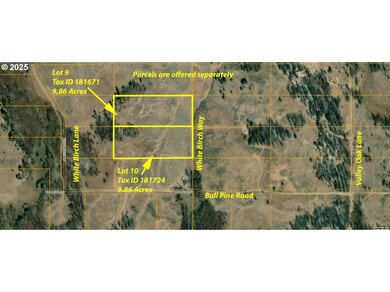 0 White Birch Way unit 10 100277061, Bly, OR 97622 - photo 4